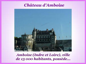 Ville et château d'Amboise