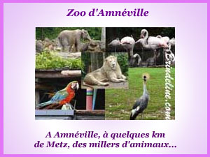 Visite du zoo d'Amnéville