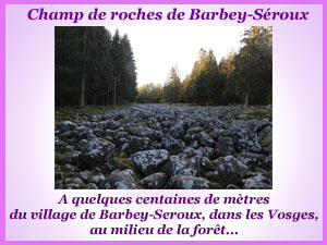 Champ de roches de Barbey Seroux (Vosges)