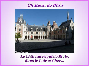 Ville et château de Blois