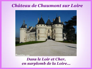 Visite du château de Chaumont sur Loire