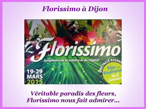 Découverte de l'exposition florale florissimo à Dijon