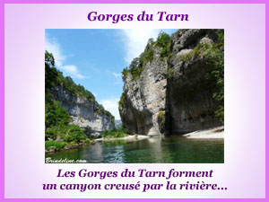 Le canyon des gorges du Tarn