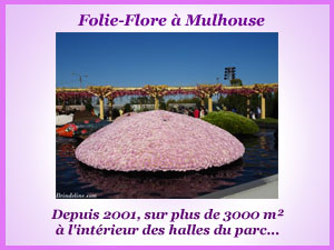 Les fleurs à l'exposition  folie flore de Mulhouse