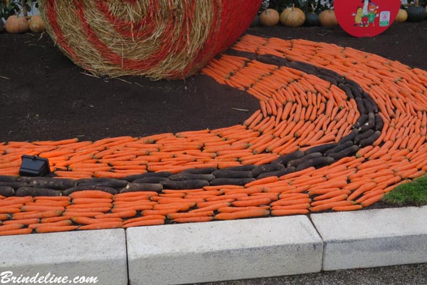 Folie'Flore à Mulhouse - décorations avec fruits et légumes - carottes