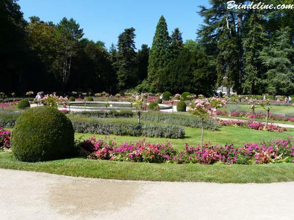 Jardin Catherine de Médicis -  château de Chenonceau - Indre et Loire