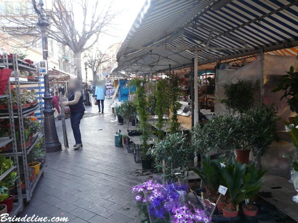 Ville de Nice - marché aux fleurs