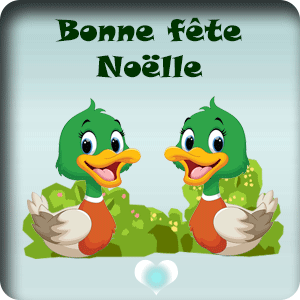 25 décembre – bonne fête Noëlle