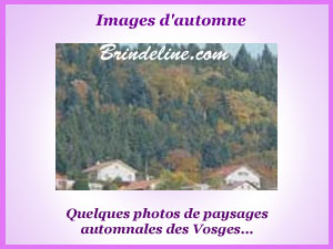 Images automne dans les Vosges