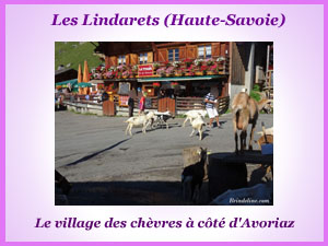 Les Lindarets, le village des chèvres (Haute-Savoie)