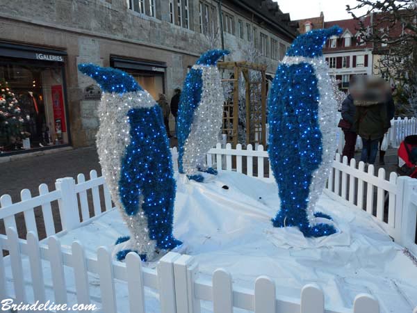 Pingouins - Marché de Noël à Montbéliard