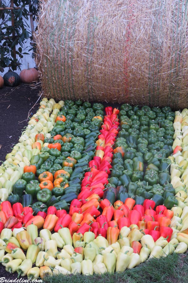 Folie'Flore à Mulhouse - décorations avec fruits et légumes