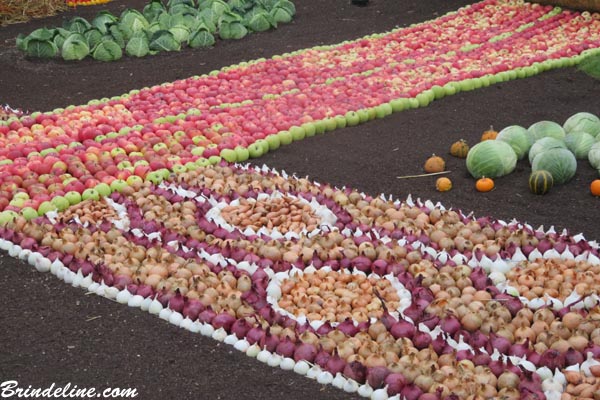 Folie'Flore à Mulhouse - décorations avec fruits et légumes - navets