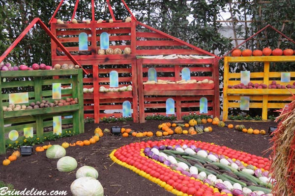 Folie'Flore à Mulhouse - décorations avec fruits et légumes - pommes