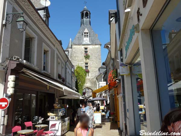 rue piétonne de la Ville d'Amboise (Indre et Loire)