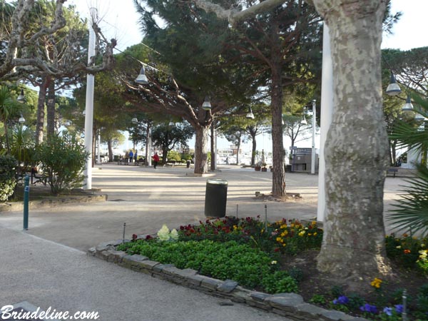 Golfe de St-Tropez - jardin à Sainte Maxime (Var)