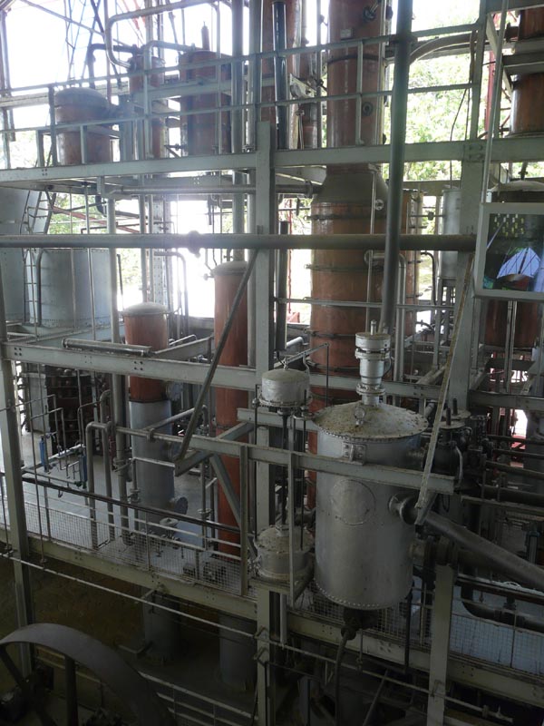 Distillerie Clément - Martinique