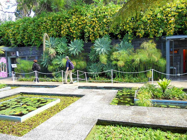 Jardin botanique de Funchal ; les bassins