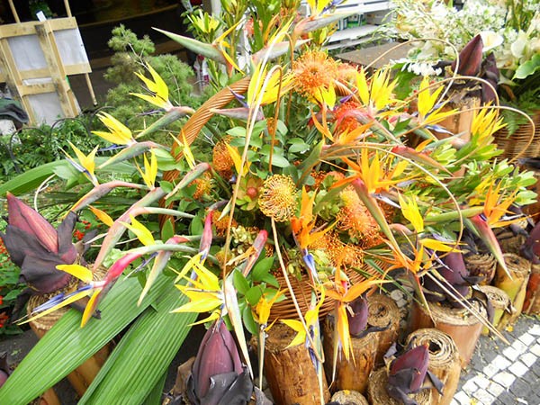 Le marché de Funchal, les fleurs