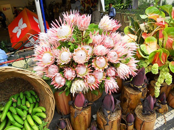 Fleurs exotiques sur le marché des travailleurs