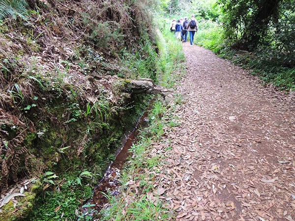 Levada, Madère