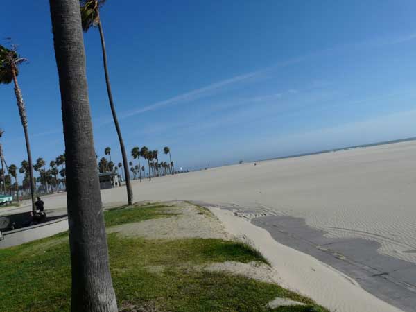plage de Venice Los Angeles - Amérique de l'Ouest