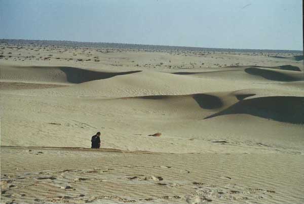 Dune et désert tunisien