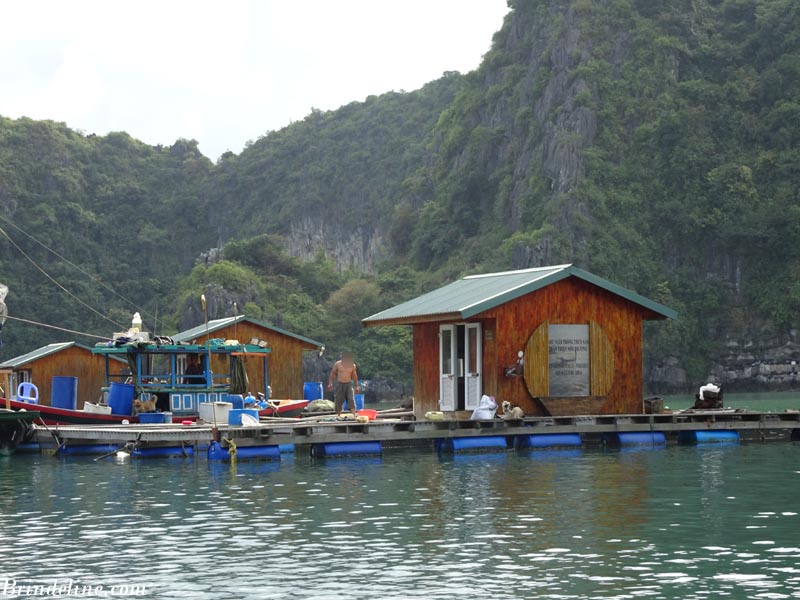 Pêcheurs de la baie d'Ha Long